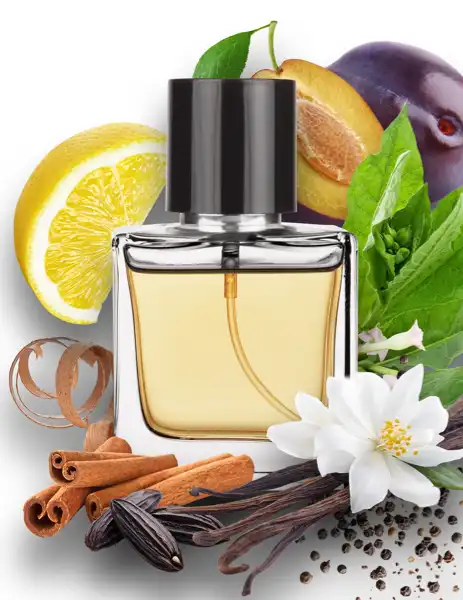 1912 Clean Fragrance - Clean Fragrances